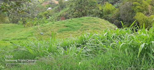 Se Vende Finca En Genova. 10 Cuadras