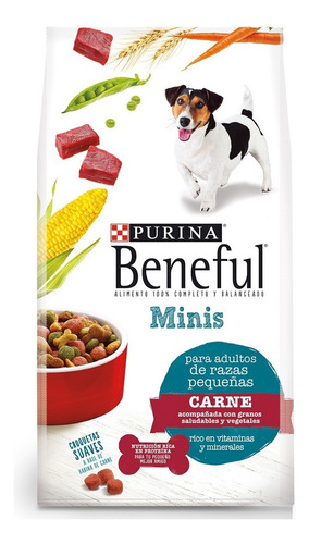 Alimento Para Perro Beneful Minis Raza Pequena 10 Kg