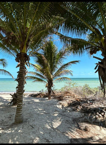 Terreno  En Venta Frente Al Mar