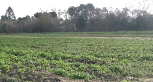 Imagen 12 de 13 de Terreno - Villa Astolfi