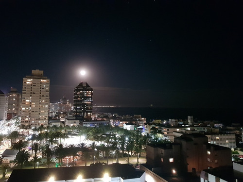 Imagen 7 de 14 de Alquilo Apartamento En Península De Pta. Del Este