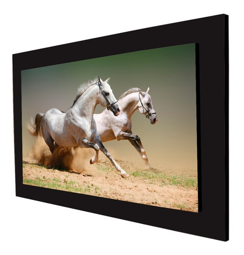 Cuadro 60x40cms Decorativo Caballo 3!!!+envío Gratis