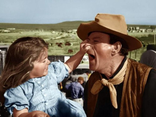 Dvd Alamo, John Wayne, Richard Widmark, R Boone 1960 +