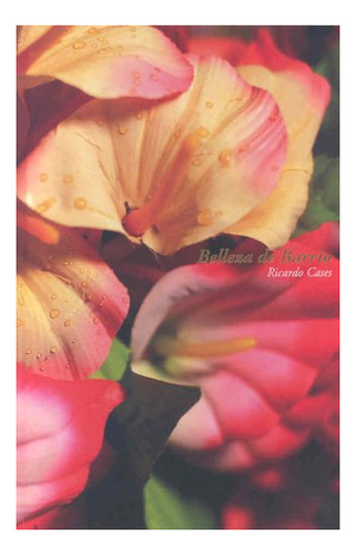 Libro Belleza De Barrio  De Cases Ricardo