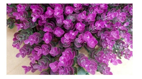 Imagen 2 de 5 de Panel Pasto Jardín Vertical Excelente Calidad Hojas Morada