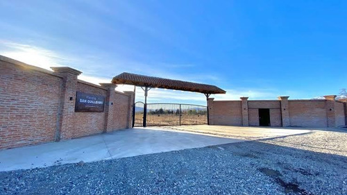 Terreno 5000 M2 Con Derechos De Agua Y Servicios Básicos.