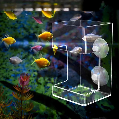 Comedero Acrílico Para Peces Y Camarones En Forma De Cuboide