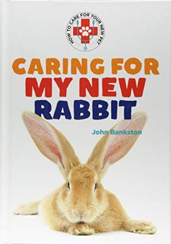 Caring For My New Rabbit (how To Care For Your New Pet)