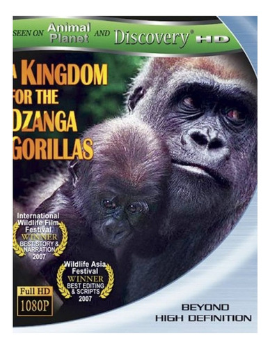 A Kingdom For Dzanga Gorillas (bd)