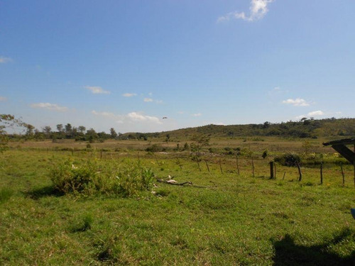Imagem 3 de 14 de Área Para Venda Em Camaçari, Parafuso - 117_1-1292101