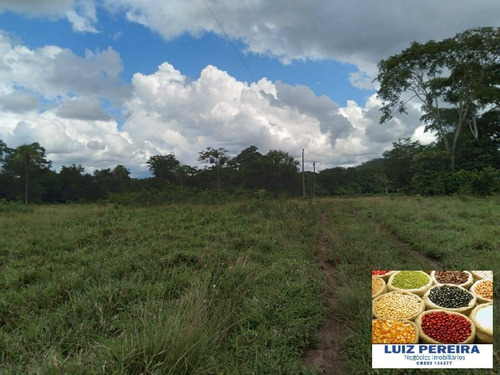 Imagem 4 de 13 de Fazenda À Venda Em Cristalândia - To - 1,302 Hec Planta Soja - 1629
