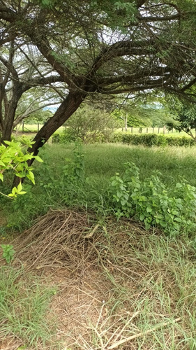 Venta De Lote En Tocaima Cund.