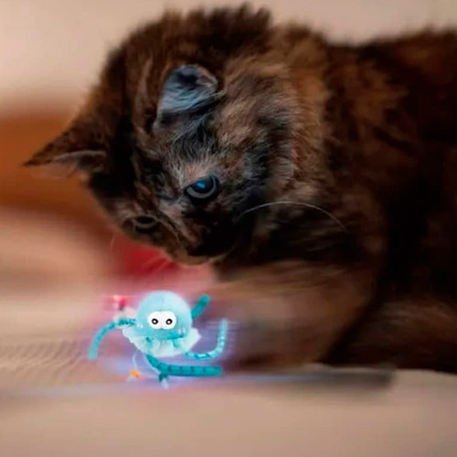 Juguete Para Gatos Largos Con Lauchitas Y Cortos Gusanito