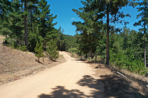 Excelente Terreno En Boyeruca