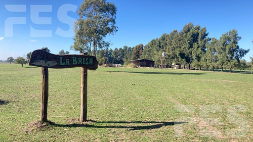 Venta Cabaña Sobre Gran Fracción De 4 Lotes Presidente Perón