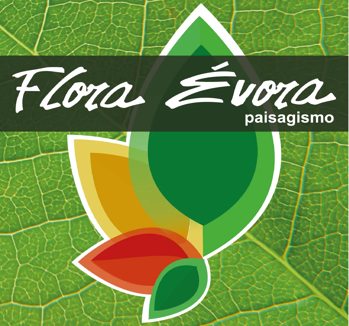FLORA EVORA PAISAGISMO