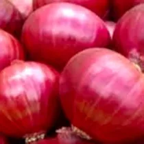 Comprar 250 Semillas De Cebolla Criolla Roja Para Plantar Semillas D