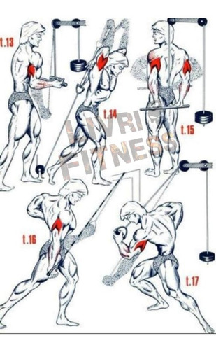 Imagem 4 de 4 de Pulley Puxada Alta Musculação