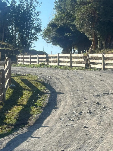 Venta Parcela Lago Rupanco Sector Pulelfu