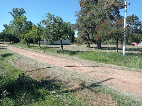 Imagen 5 de 8 de Terreno - Gualeguaychu