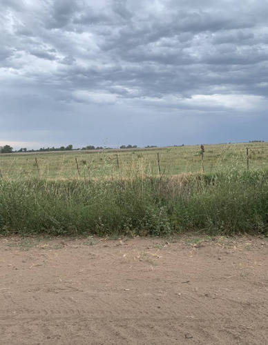 Imagen 4 de 5 de Venta Campo Ordoqui, Carlos Casares