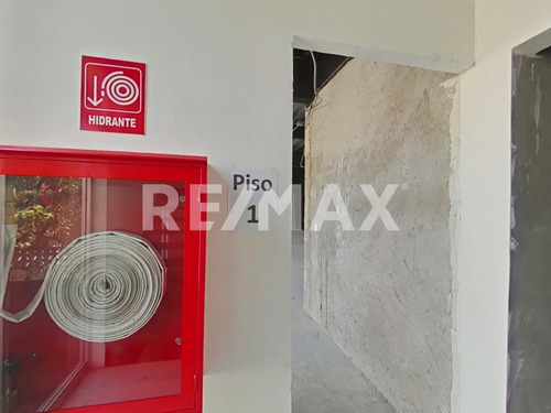 Local Comercial Renta San Jose Insurgentes