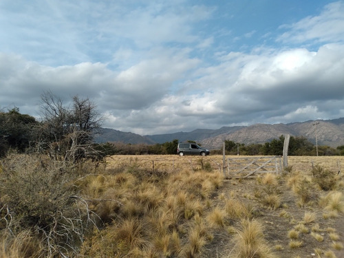 Imagen 4 de 7 de Dueño Directo: Liquida Última Hectarea A Precio De Preventa