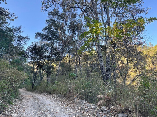 Terreno En Venta En Ciudad Guzman, Jalisco.