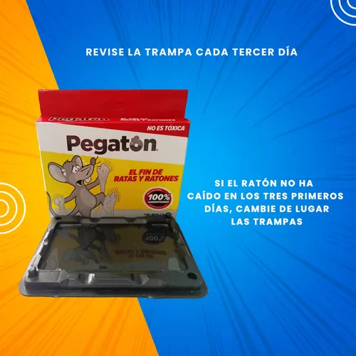 Trampas para ratones sin matarlos - Tiendanimal