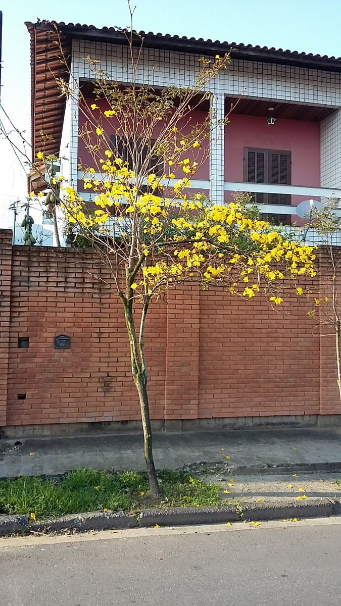 Captação de Casa a venda na Rua Ângelo Martins Melero  Sn, Caneleira, Santos, SP