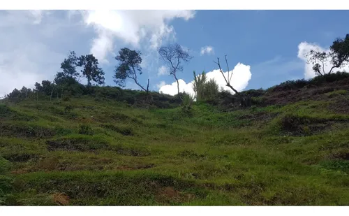 Venta Lote Vereda La Primavera El Peñol(mls#243148)