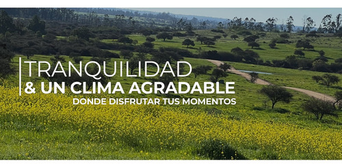 Excelente!! Parcelas De 5.000 M2 Con Rol Propio En "lom