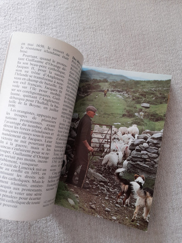 Guide De Voyage Berlitz - Irlande - Macmillan (Usado)