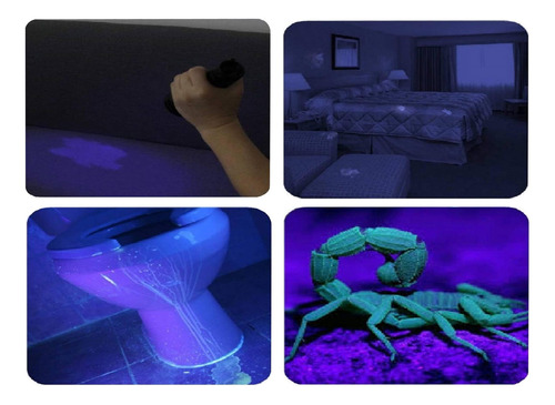 365nm - Linterna Uv Recargable Por Usb, Mini Detector