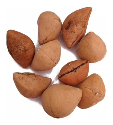 Semilla De Ayoyote/codo De Fraile 500 Gr