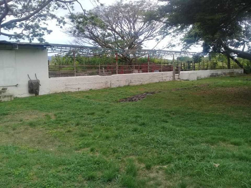 Imagen 11 de 12 de En Venta Finca De 7,5ha
