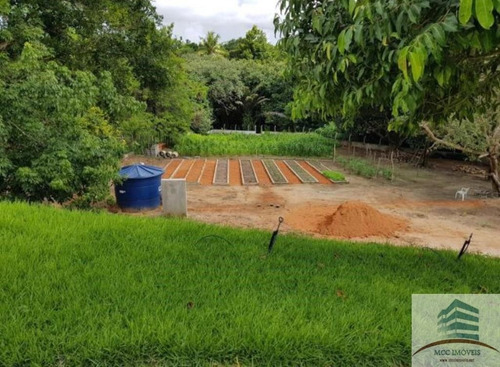 Imagem 5 de 12 de Granja A Venda Em Boa Esperança, Parnamirim