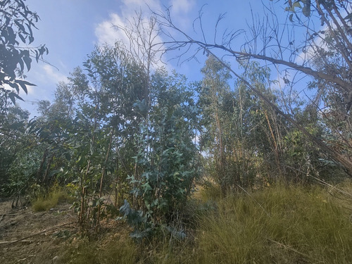 Vendo Sitio De 5580 M2 En Queronque Los Laureles Limache.