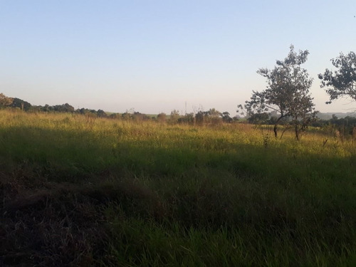 Imagem 27 de 30 de Sítio À Venda, 158994 M² Por R$ 700.000,00 - Santa Terezinha - Piracicaba/sp - Si0028