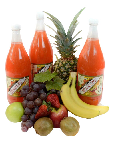 Multifruta Fizz Julio 25 Botella 1,5 Litros Funda X 6