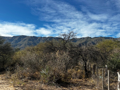 2 Lotes En Finca Punta Serrana