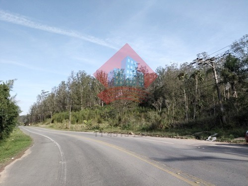 Imagem 5 de 8 de Terreno - Ref: 00430