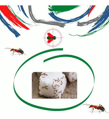Kit Anti Formigas Urbanas Formitap 10 Un + Gel 7 Belo 10 Un