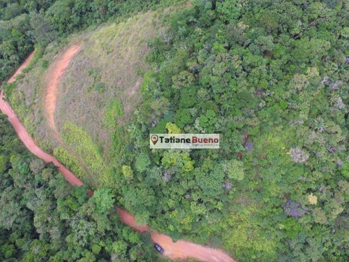 Imagem 4 de 5 de Área À Venda, 18350 M² Por R$ 2.200.000 - Praia Da Tabatinga - Ubatuba/sp - Ar0037