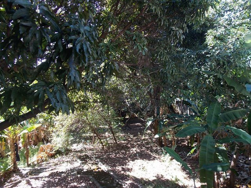 Imagem 17 de 24 de Casa Com 3 Quartos Para Comprar No Palmeiras Em Belo Horizonte/mg - 1763