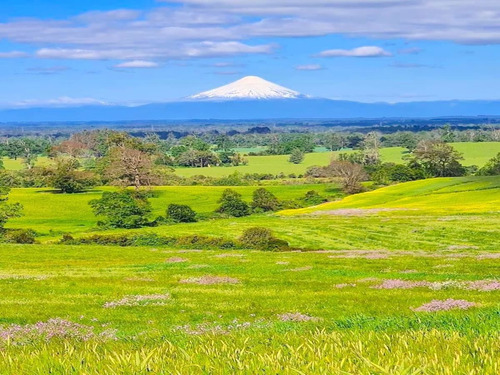 Parcelas A 15 Minutos De Frutillar 9 Millones De Descuento