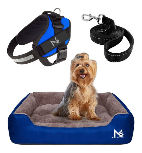 Imagen 1 de 7 de Super Combo / Cama Para Perros M + Pechera S + Paseador