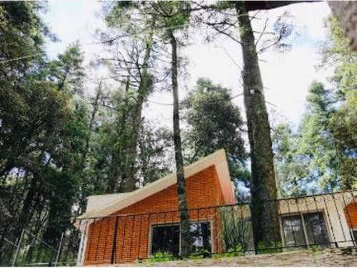 Imagen 12 de 12 de Terreno En Venta ¡todas Las Bondades Y Magestusidad Del Bosque A Tu Alcance! Lotes A Crédito