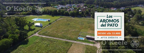 Lote 534m2 Los Aromos Del Pato - Ultimos Lotes Apto Credito - El Pato Berazategui