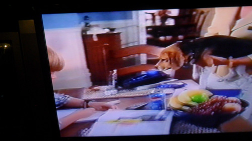 Vhs Como Perros Y Gatos ( Cats & Dogs, 2001) (Usado)